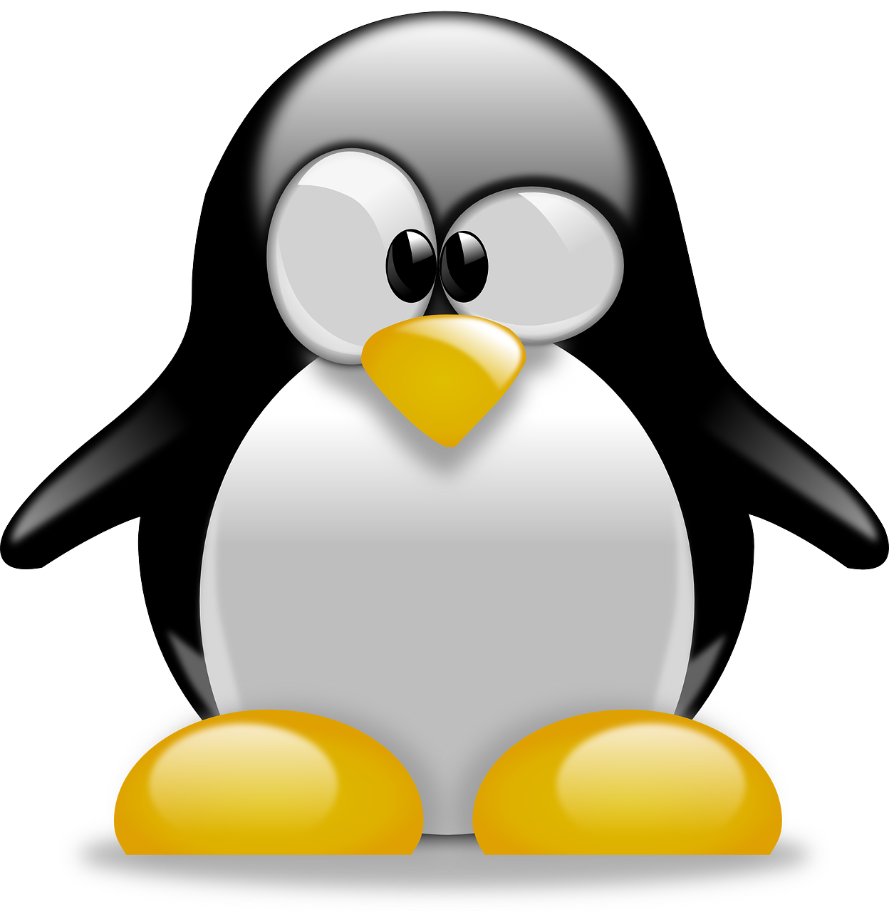 Linux Basics for Beginners